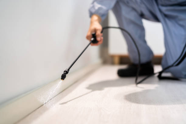 Licensed Pest Control service in Edenton, NC - Show Me Pest Control