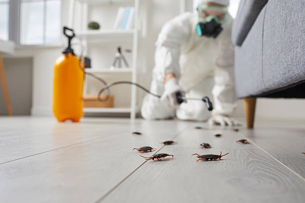 Post-Treatment Bed Bug Interceptor Monitoring in Edenton