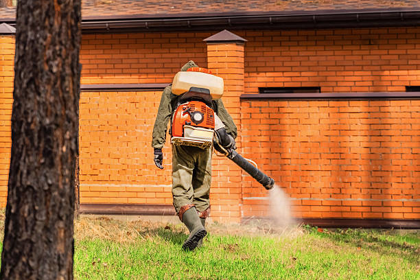 Bed Bug Clearance Verification and Documentation in Edenton